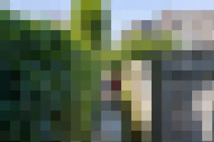 Kruisbergseweg 84 Doetinchem thumbnail 39