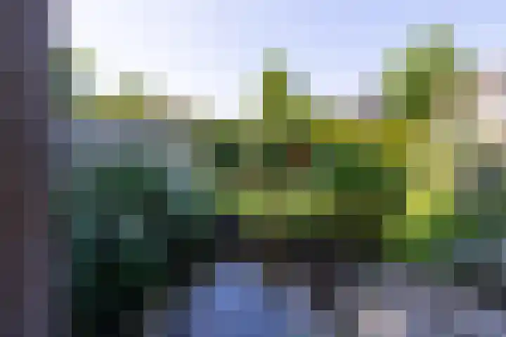 Kruisbergseweg 84 Doetinchem thumbnail 41