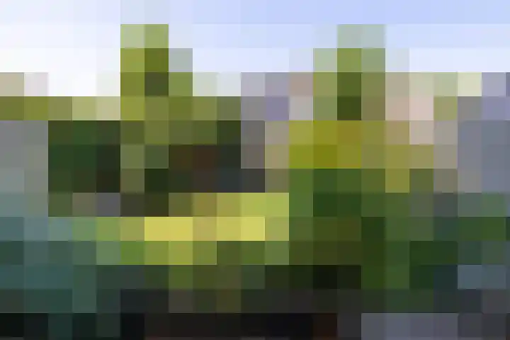 Kruisbergseweg 84 Doetinchem thumbnail 42