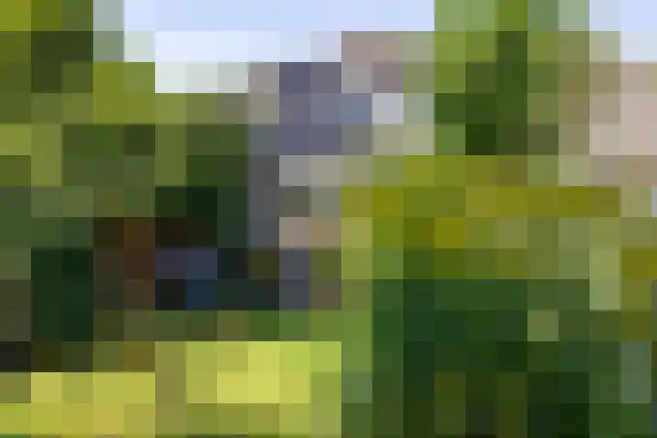 Kruisbergseweg 84 Doetinchem thumbnail 43