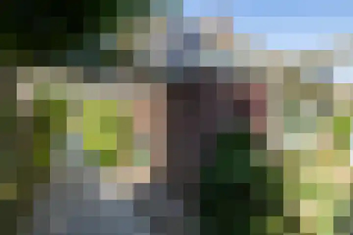 Kruisbergseweg 84 Doetinchem thumbnail 46