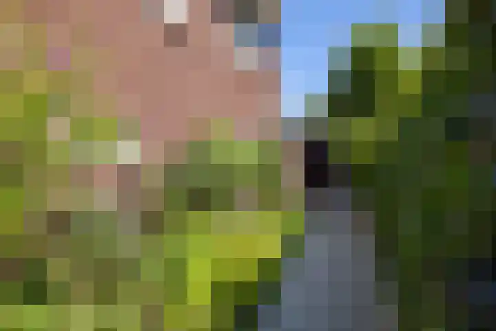 Kruisbergseweg 84 Doetinchem thumbnail 47