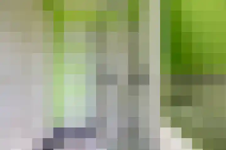 Kruisbergseweg 84 Doetinchem thumbnail 69