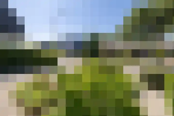 Kruisbergseweg 84 Doetinchem thumbnail 77