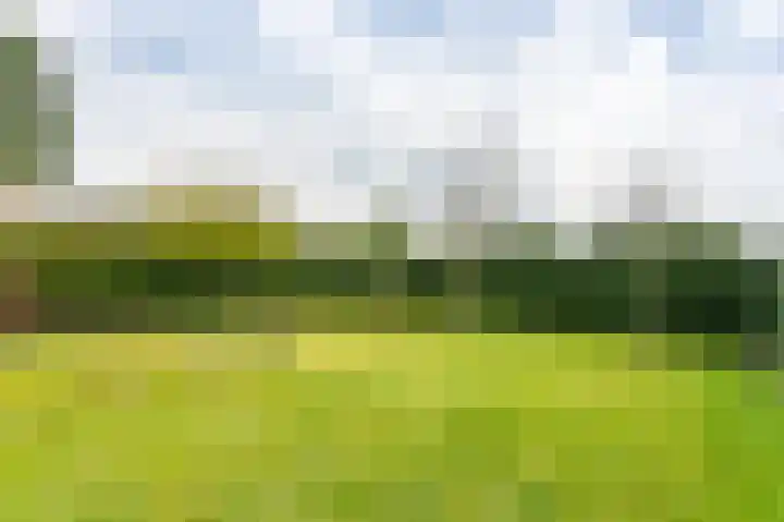 Kruisbergstraat 54 Brunssum thumbnail 39