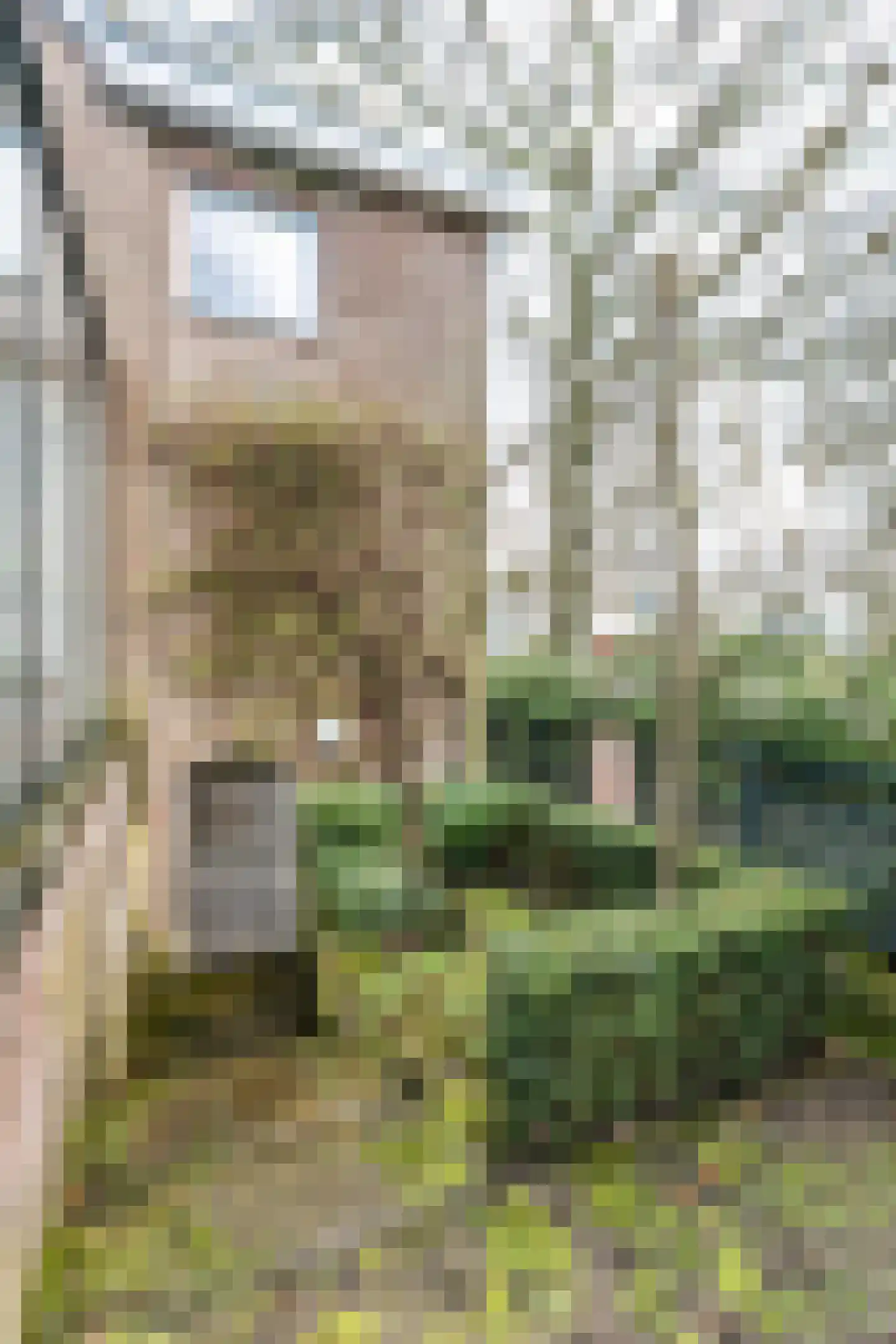 Kruisbergstraat 74 A Brunssum thumbnail 39