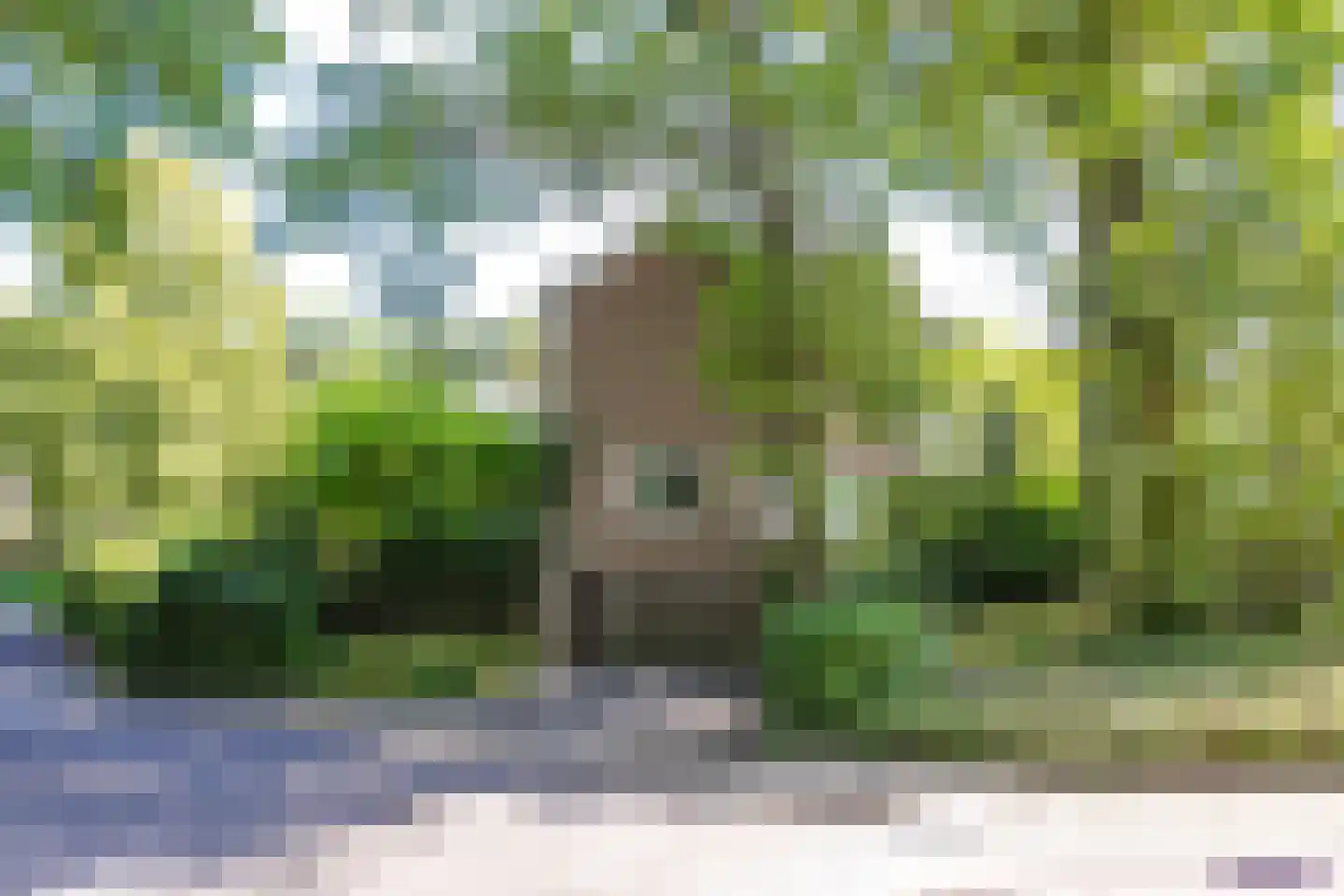 Kruisbergstraat 74 A Brunssum thumbnail 40