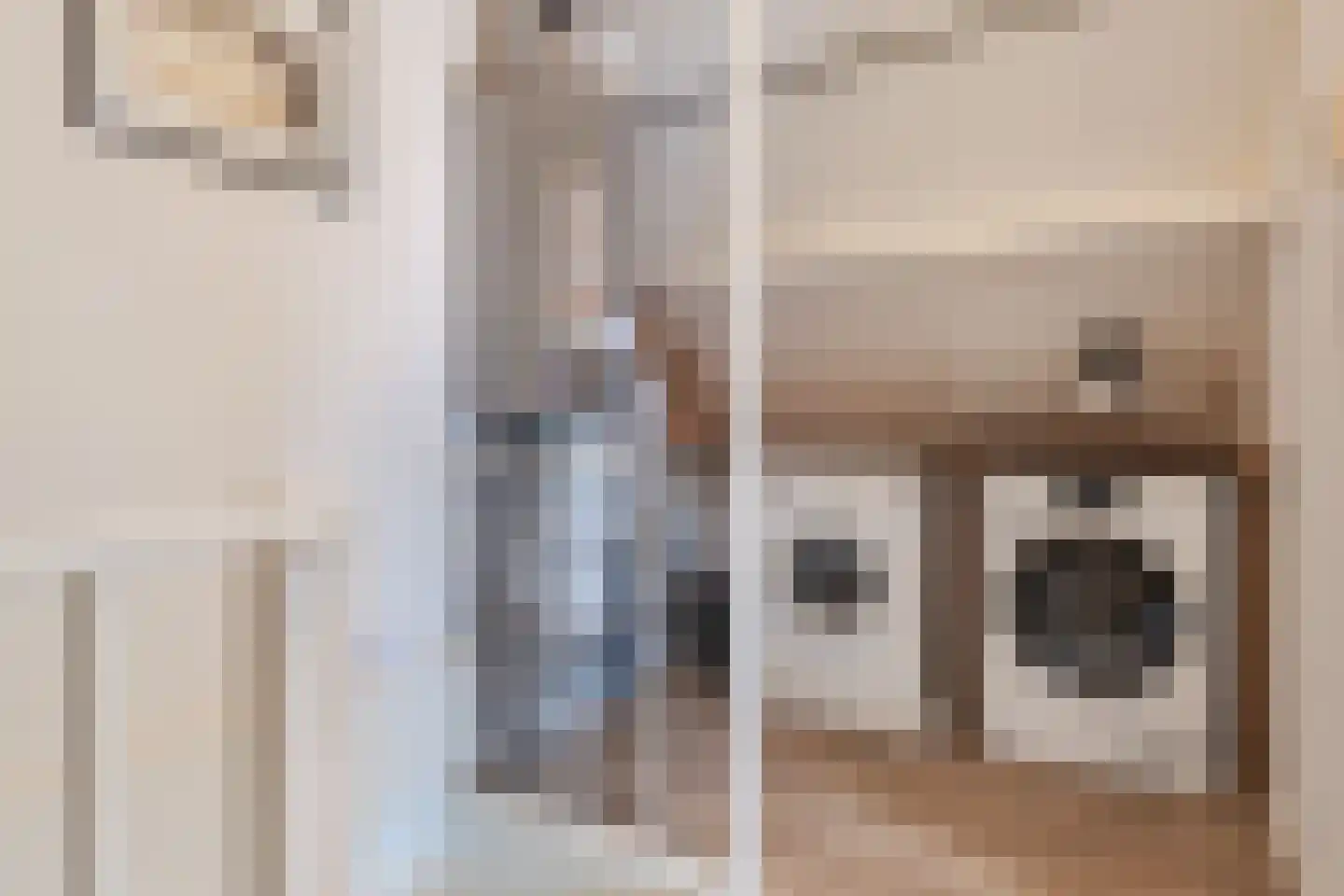 Kruisbes 2 Cuijk thumbnail 23