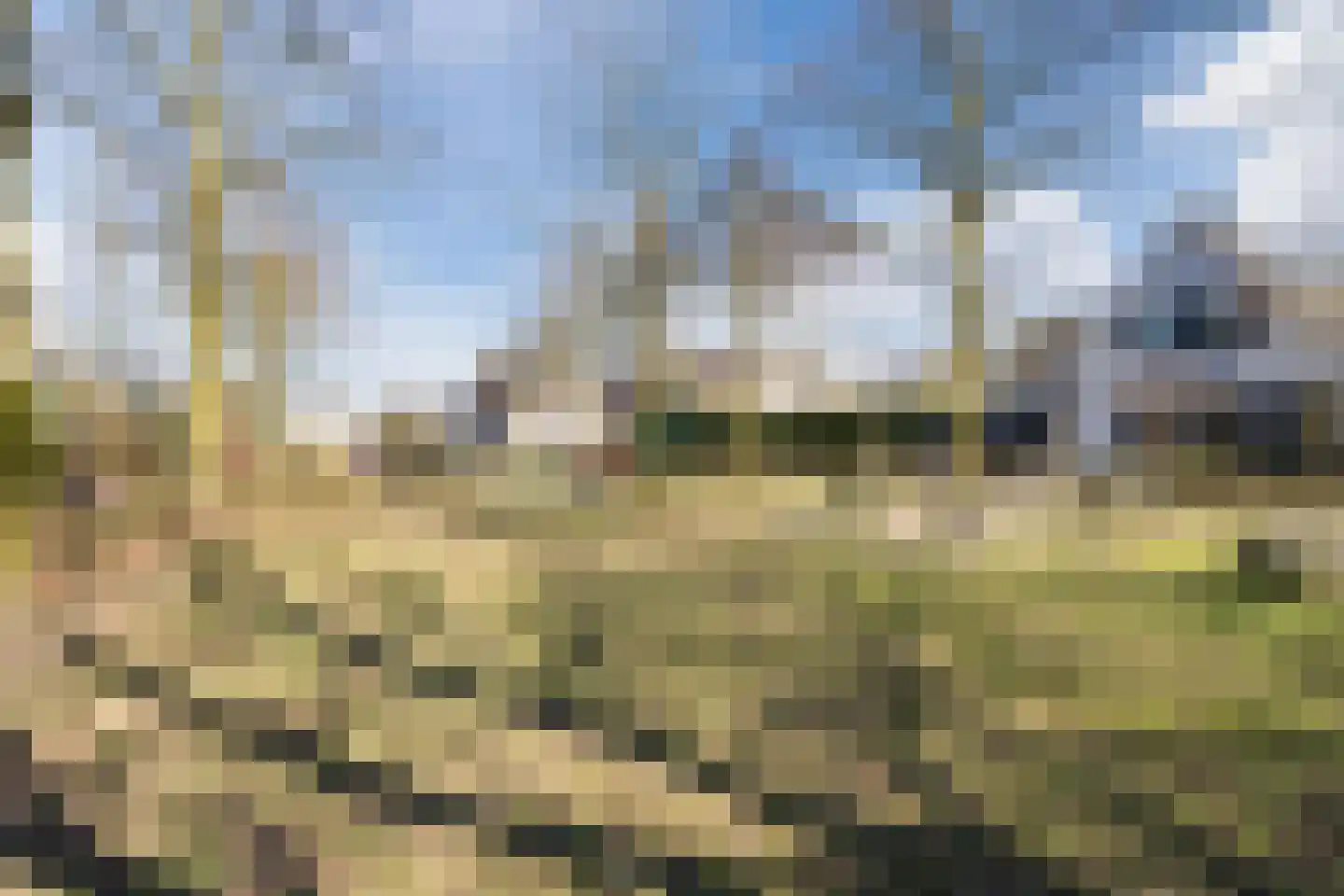 Kruisbes 2 Cuijk thumbnail 31