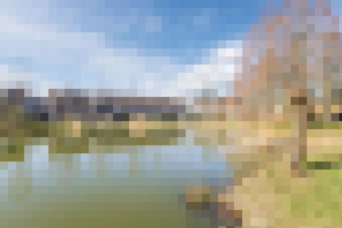 Kruisbes 2 Cuijk thumbnail 33