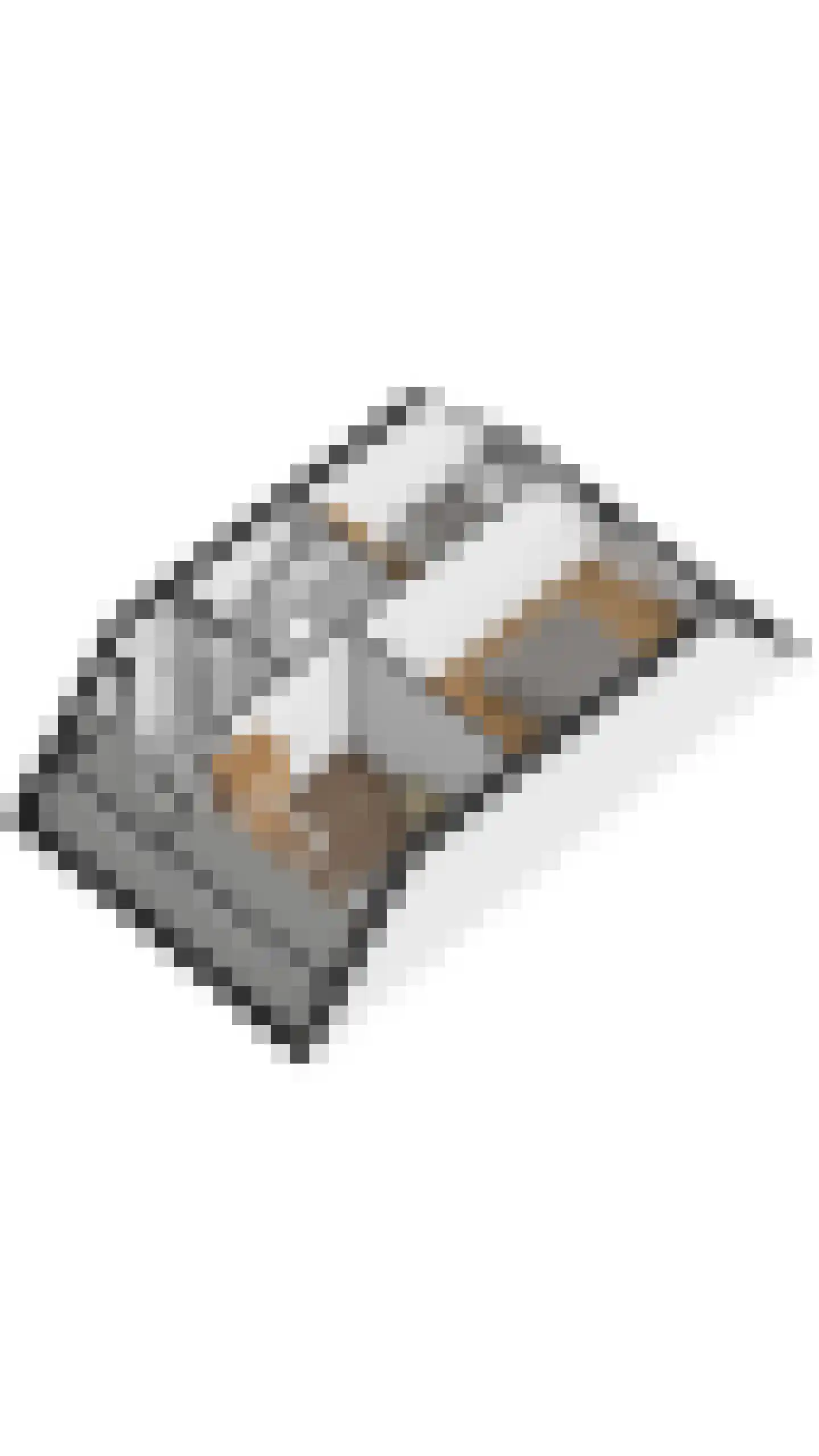 Kruisbes 2 Cuijk thumbnail 36