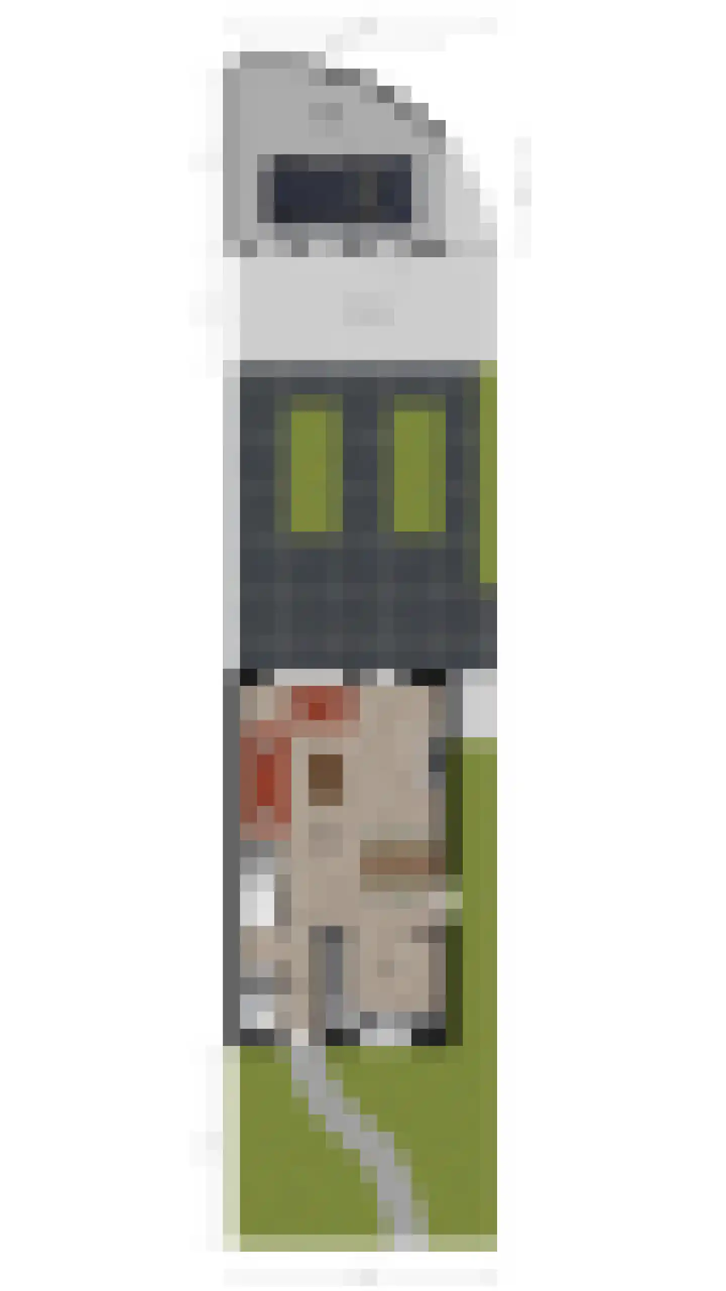Kruisbes 2 Cuijk thumbnail 39