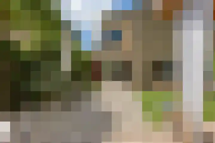 Kruisbes 29 Leiden thumbnail 18