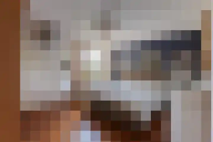 Kruisbes 29 Leiden thumbnail 23