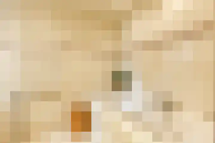 Kruisbes 29 Leiden thumbnail 25