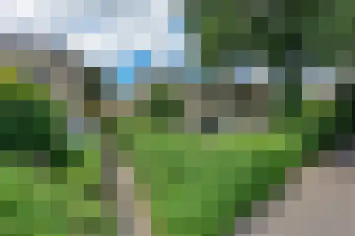 Kruisbes 29 Leiden thumbnail 38