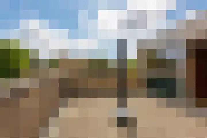 Kruisbes 29 Leiden thumbnail 4