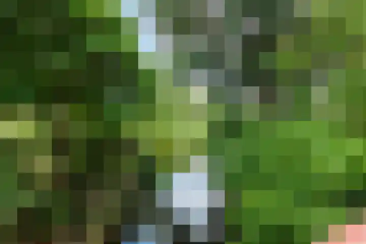 Kruisbes 29 Leiden thumbnail 40