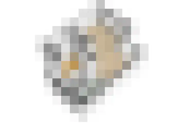 Kruisbes 29 Leiden thumbnail 47