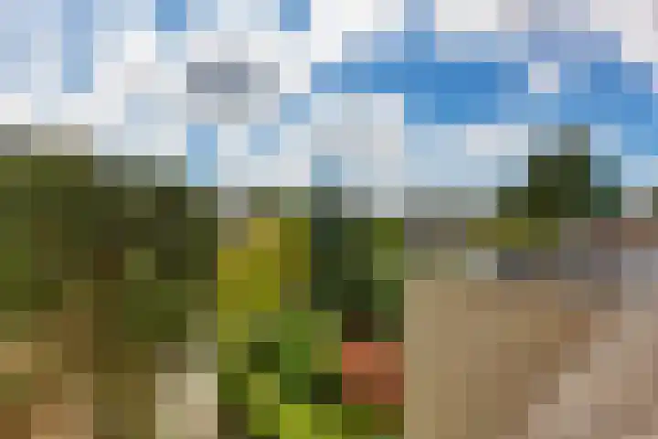 Kruisbes 29 Leiden thumbnail 5