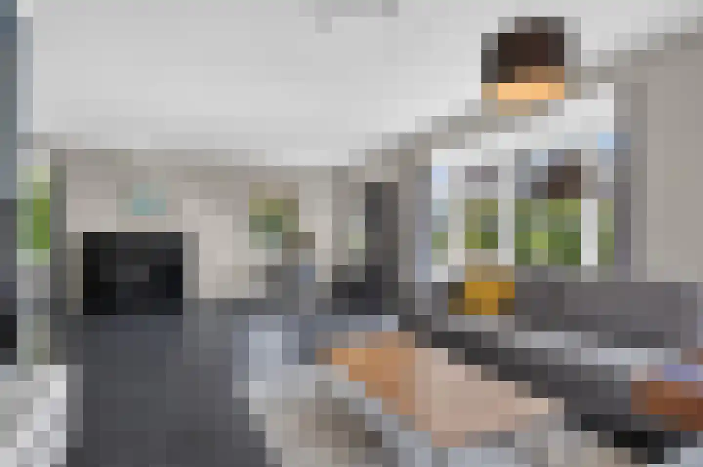 Kruisbes 3 Hengelo thumbnail 14