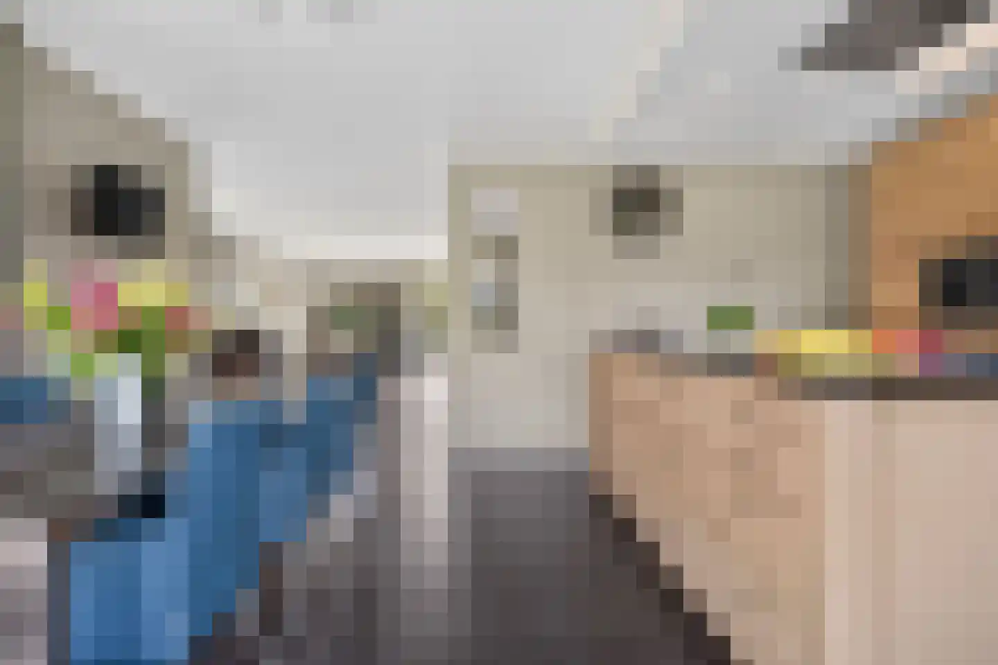 Kruisbes 3 Hengelo thumbnail 21