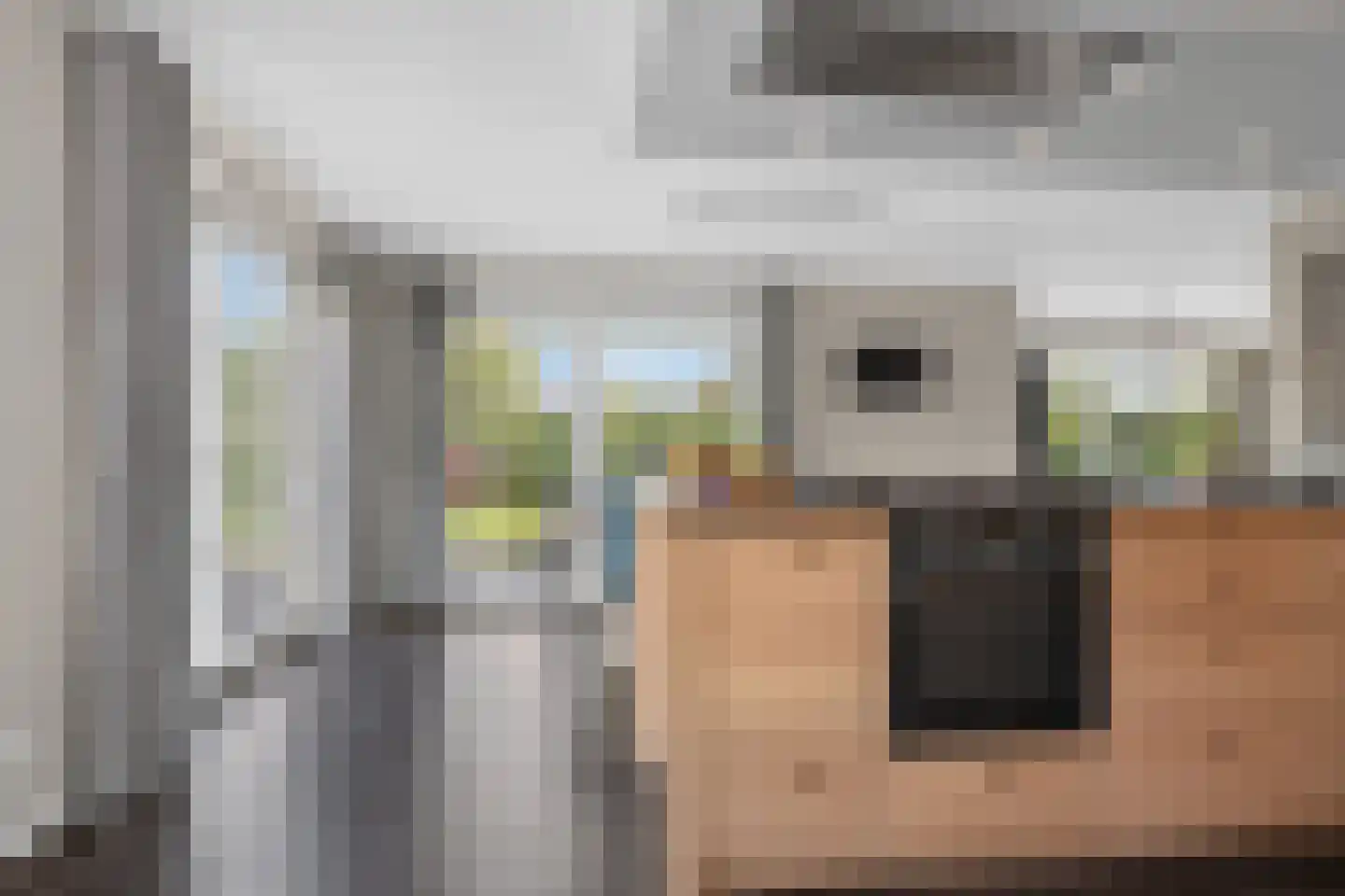 Kruisbes 3 Hengelo thumbnail 22