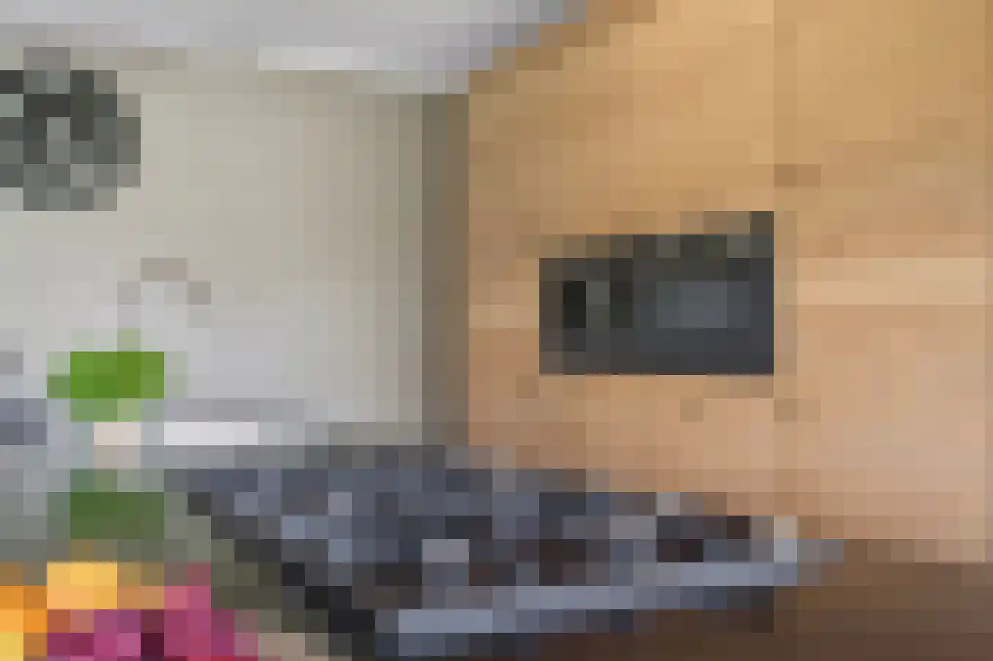 Kruisbes 3 Hengelo thumbnail 23