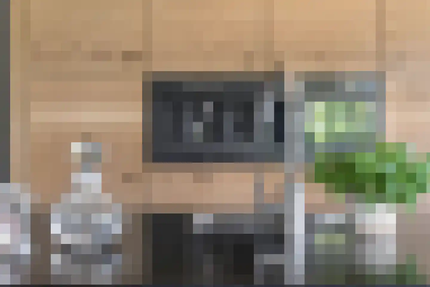 Kruisbes 3 Hengelo thumbnail 25