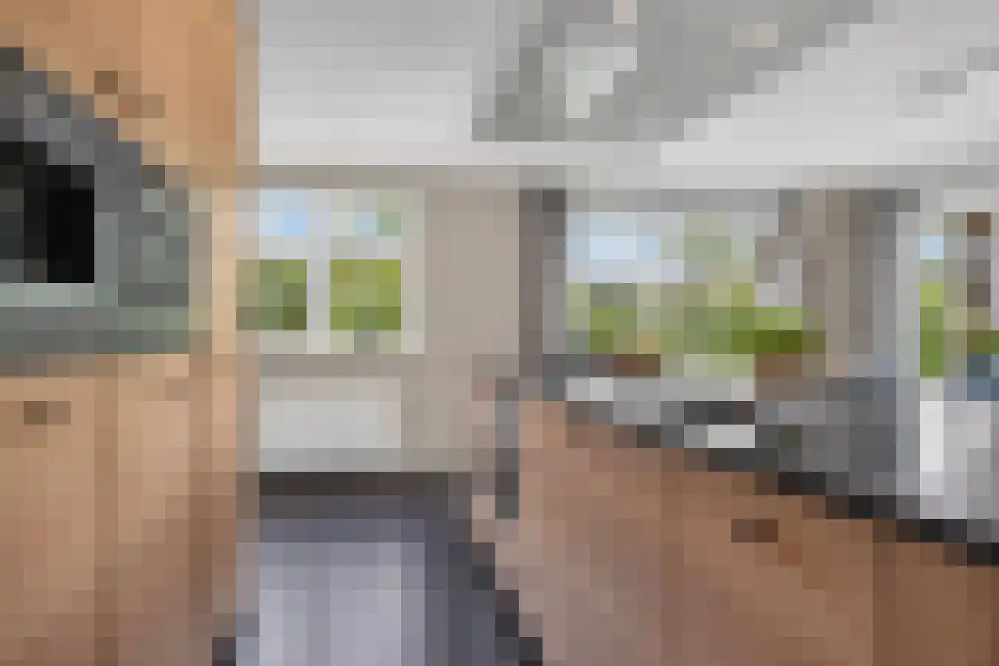 Kruisbes 3 Hengelo thumbnail 26