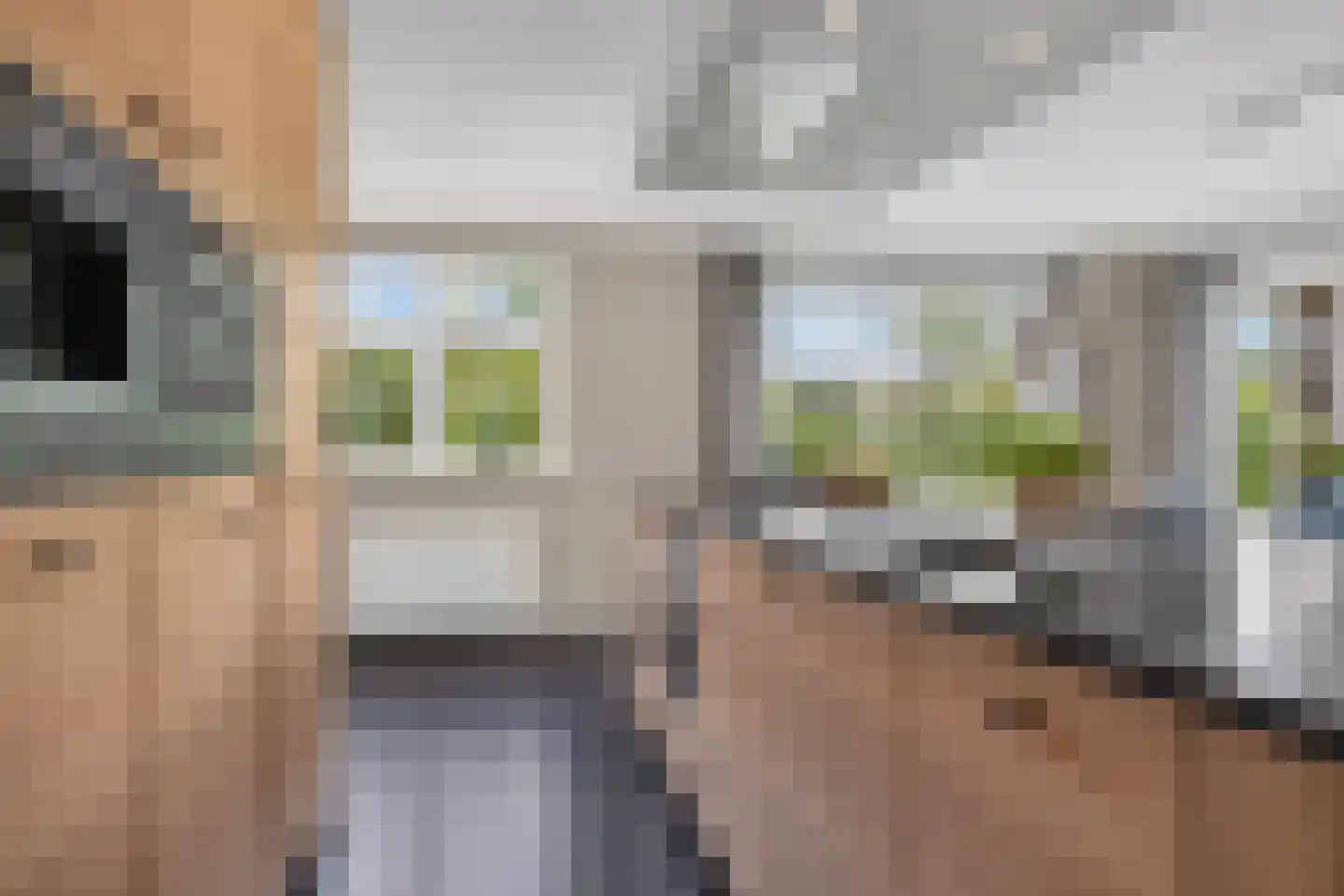 Kruisbes 3 Hengelo thumbnail 29