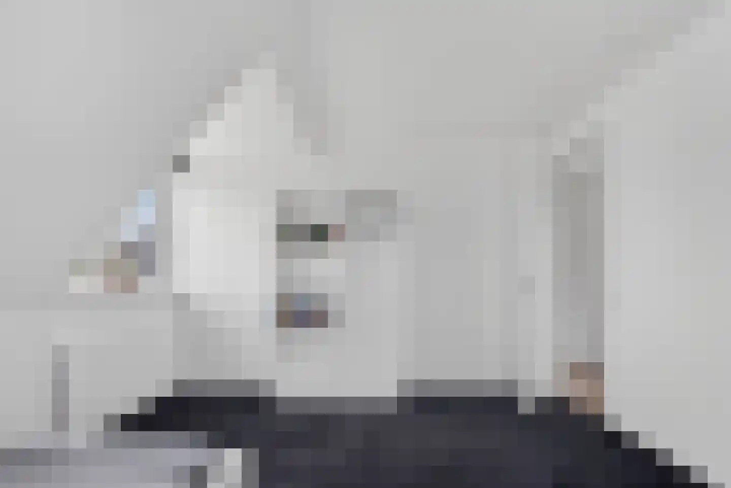 Kruisbes 3 Hengelo thumbnail 38
