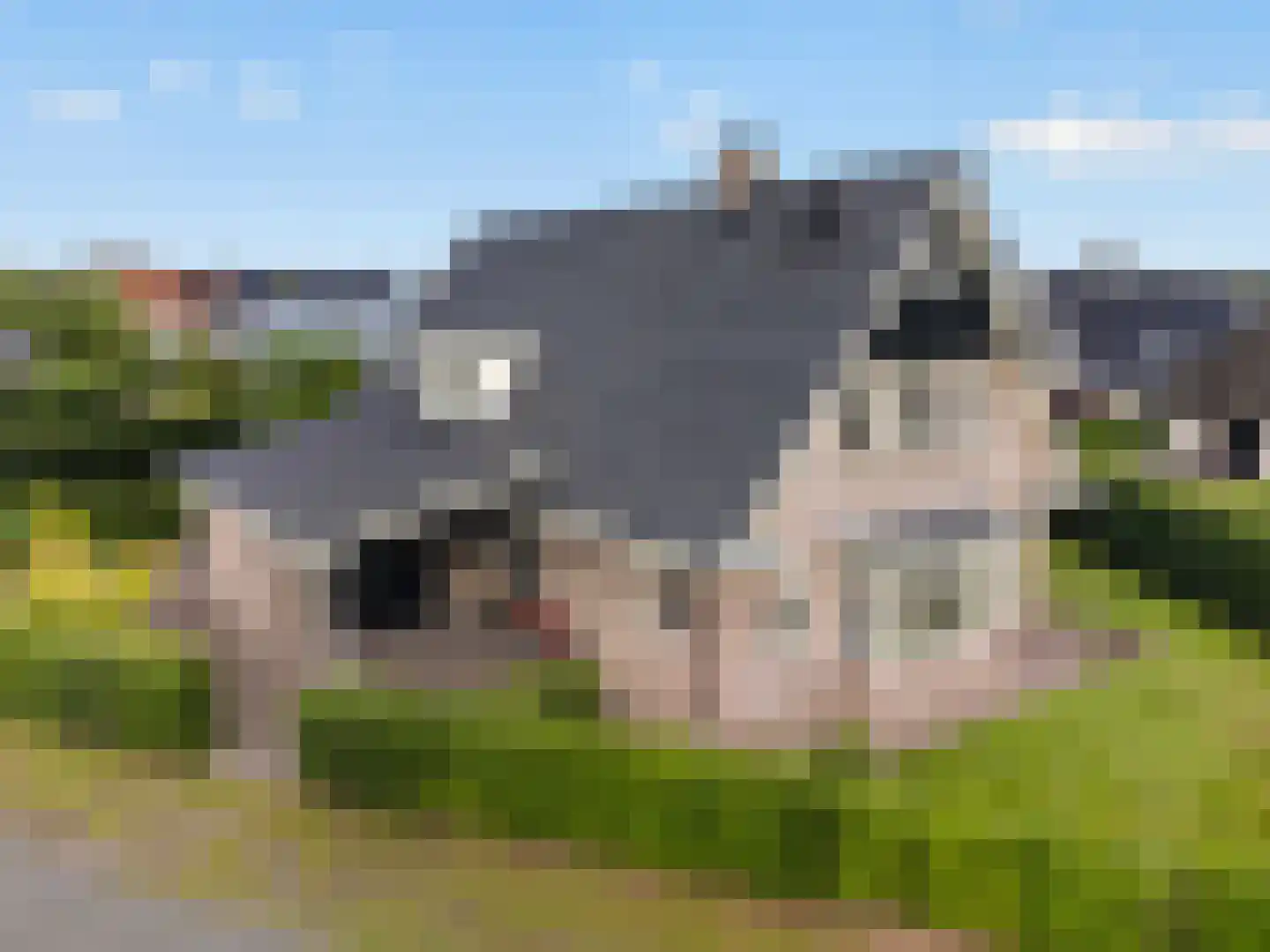 Kruisbes 3 Hengelo thumbnail 4