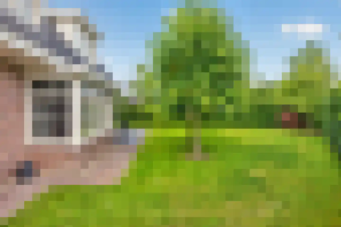 Kruisbes 3 Hengelo thumbnail 48