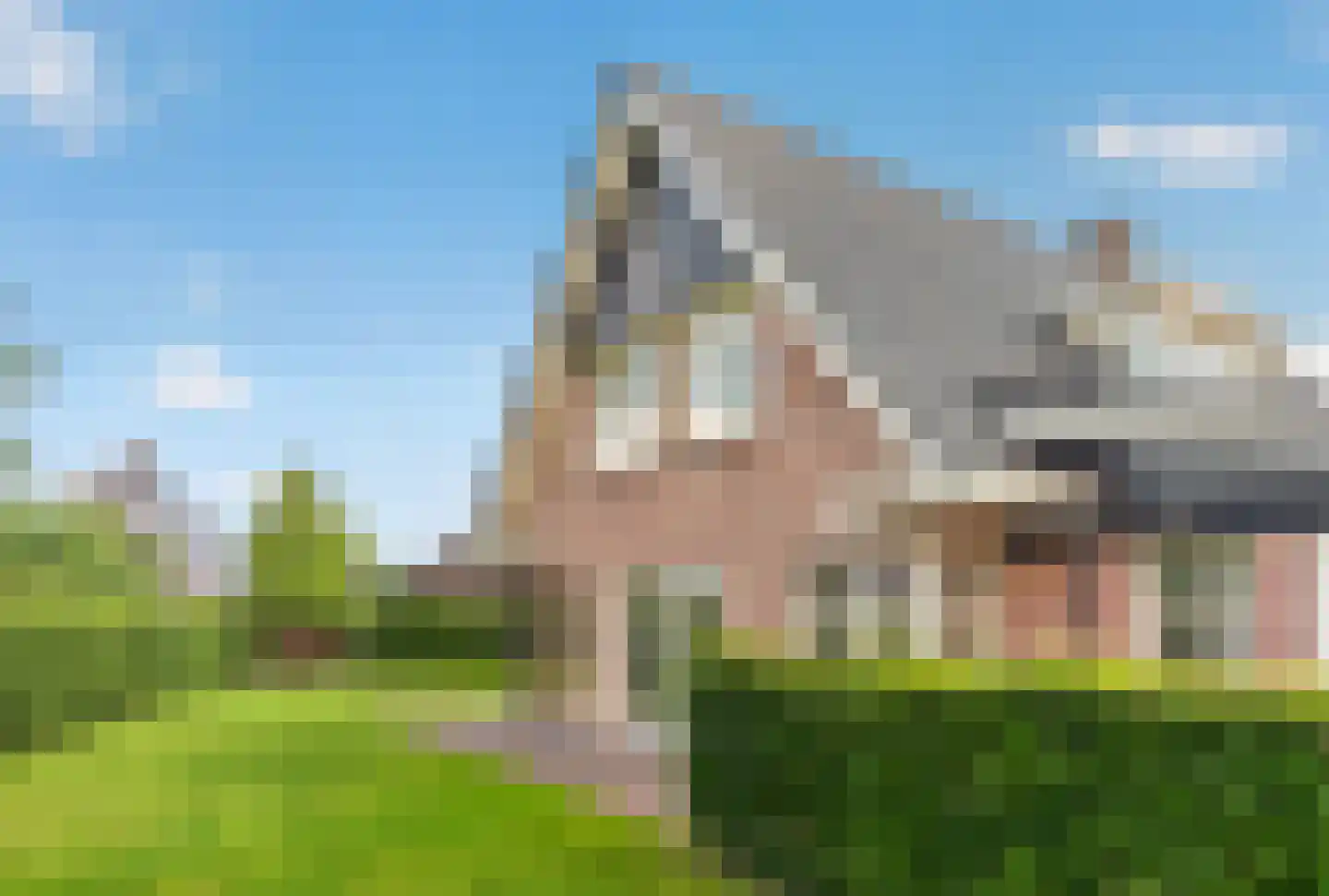 Kruisbes 3 Hengelo thumbnail 50