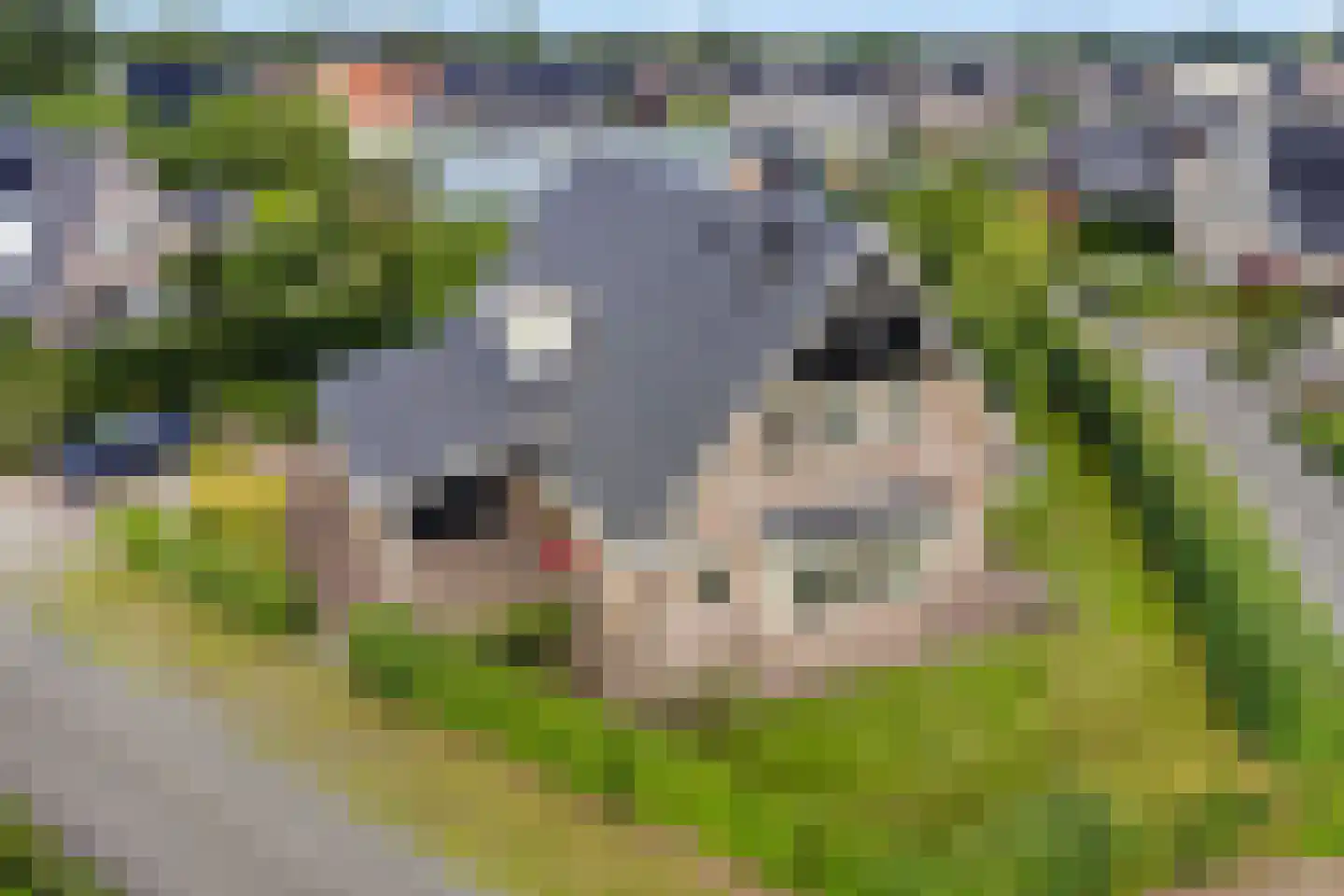 Kruisbes 3 Hengelo thumbnail 61