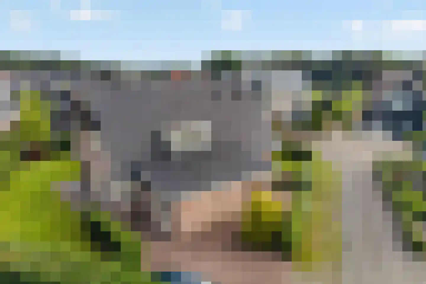Kruisbes 3 Hengelo thumbnail 62