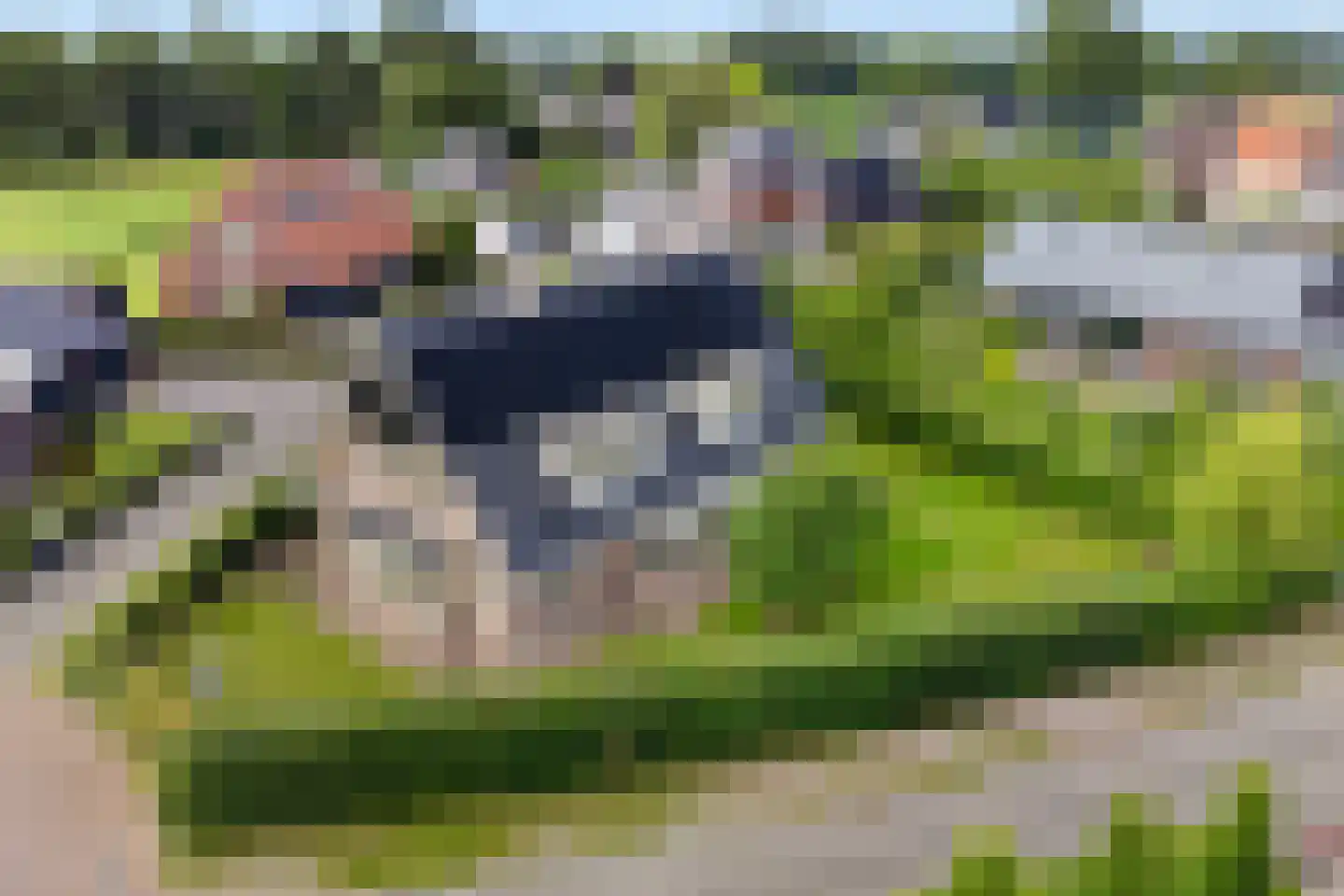 Kruisbes 3 Hengelo thumbnail 63