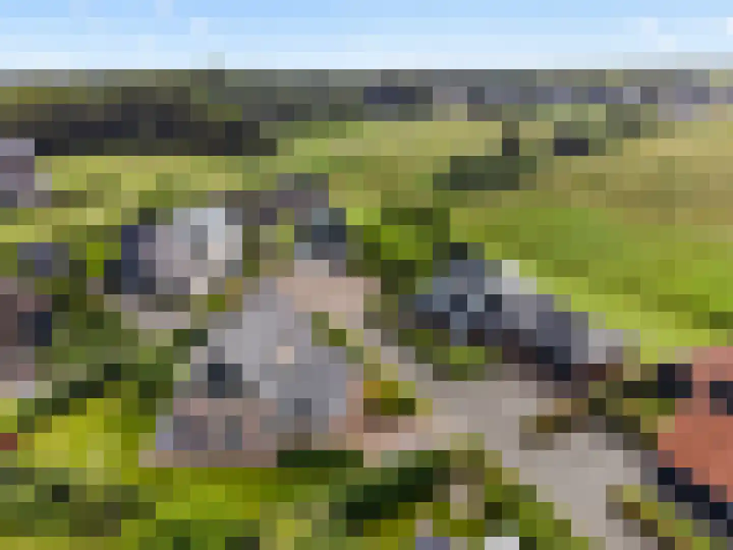 Kruisbes 3 Hengelo thumbnail 65