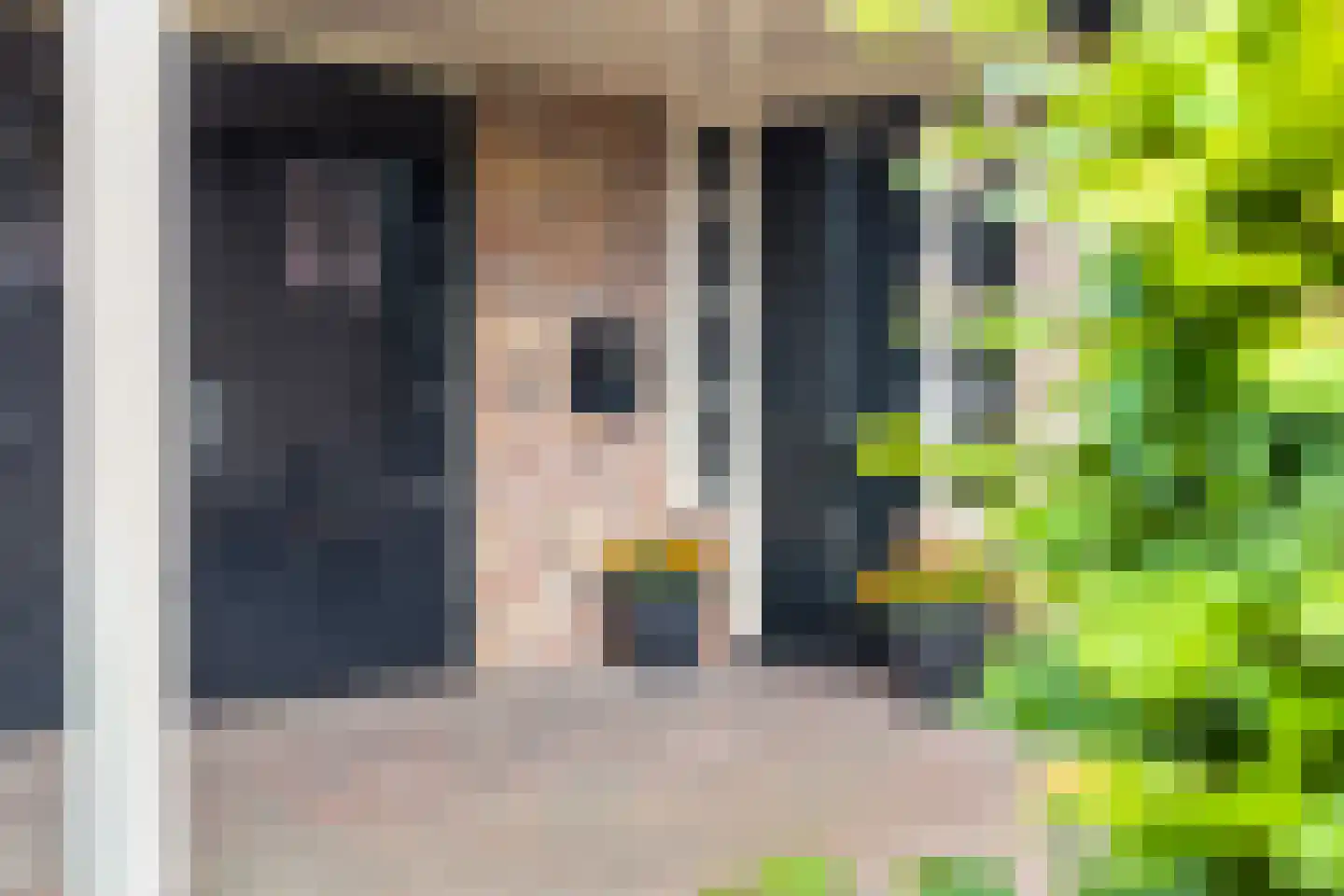 Kruisbes 3 Hengelo thumbnail 9