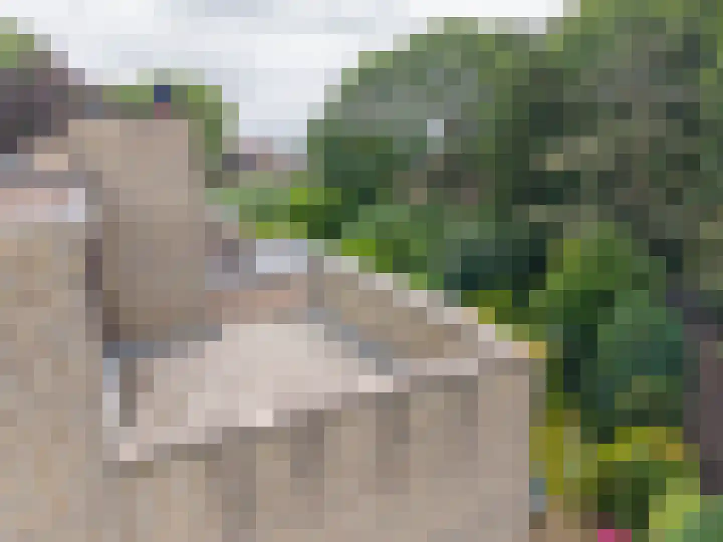 Kruisbes 3 Leiden thumbnail 33