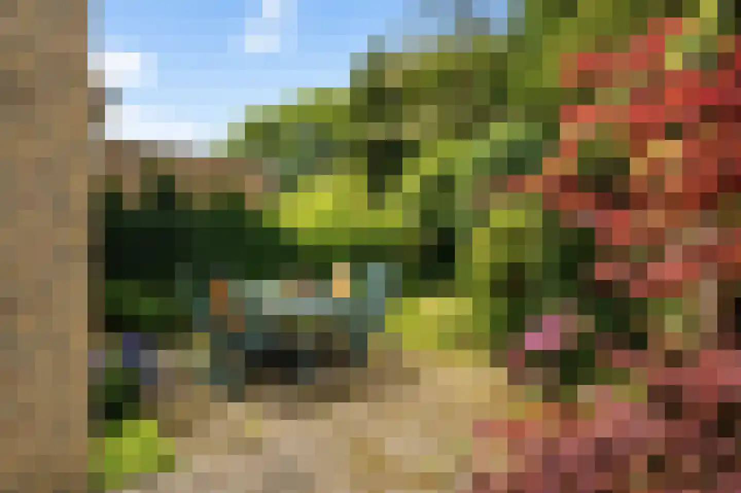 Kruisbes 3 Leiden thumbnail 36