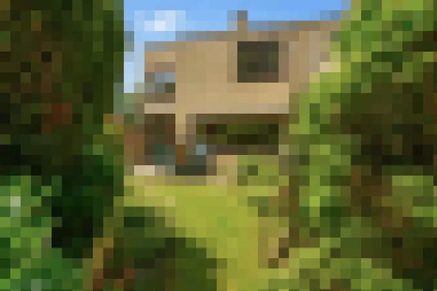 Kruisbes 3 Leiden thumbnail 37