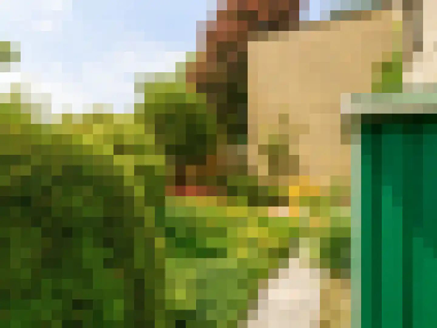Kruisbes 3 Leiden thumbnail 38