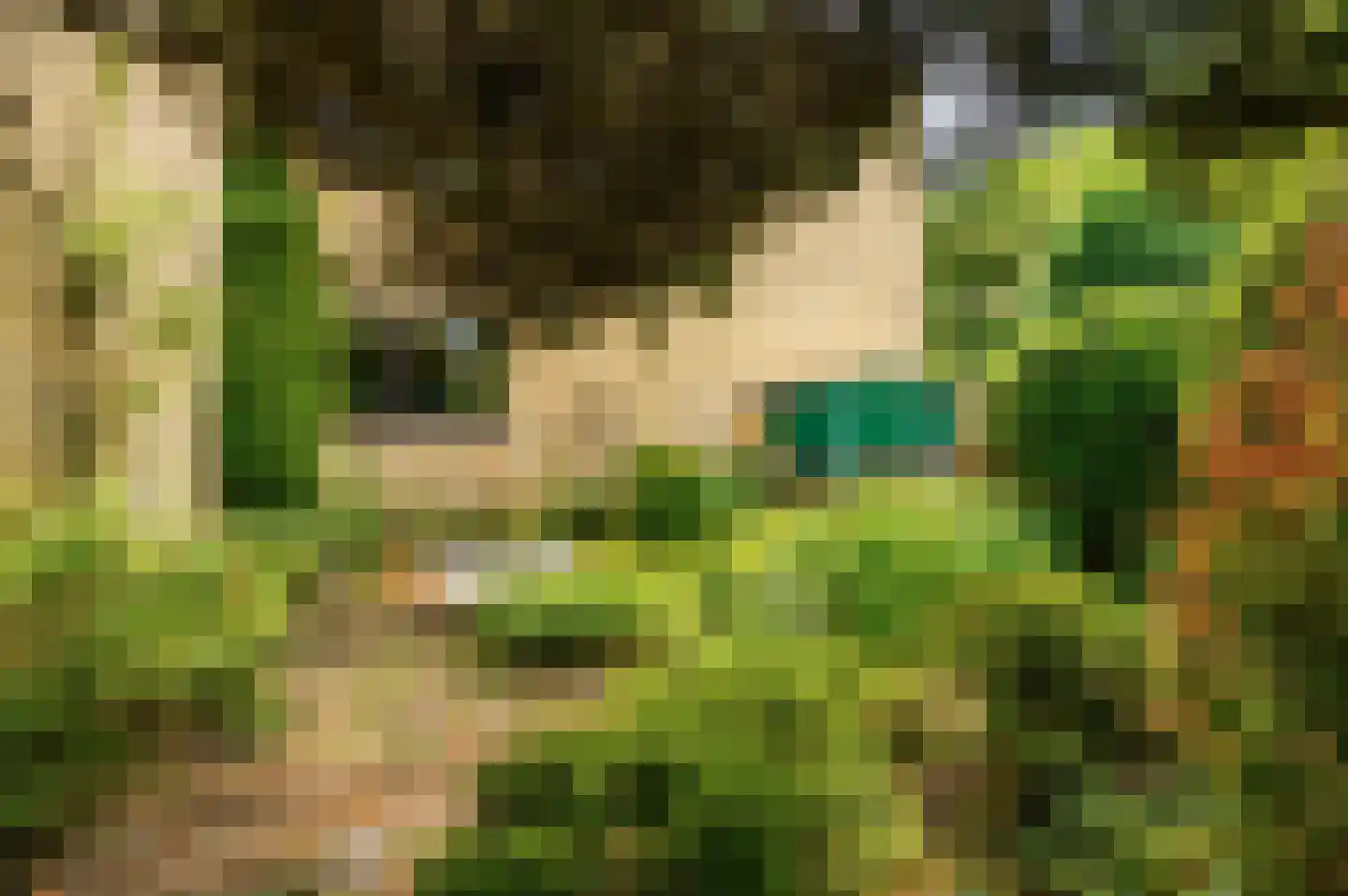 Kruisbes 3 Leiden thumbnail 39
