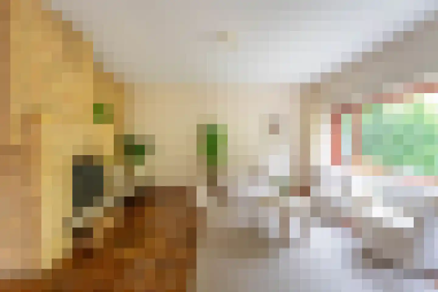 Kruisbes 3 Leiden thumbnail 4