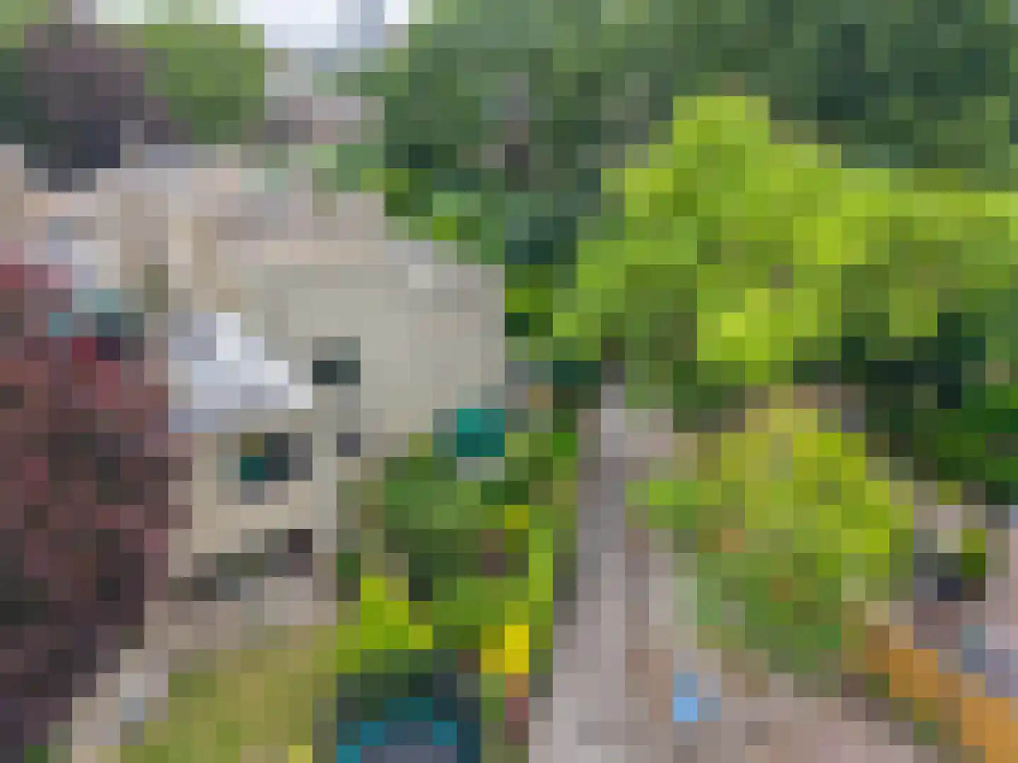Kruisbes 3 Leiden thumbnail 41