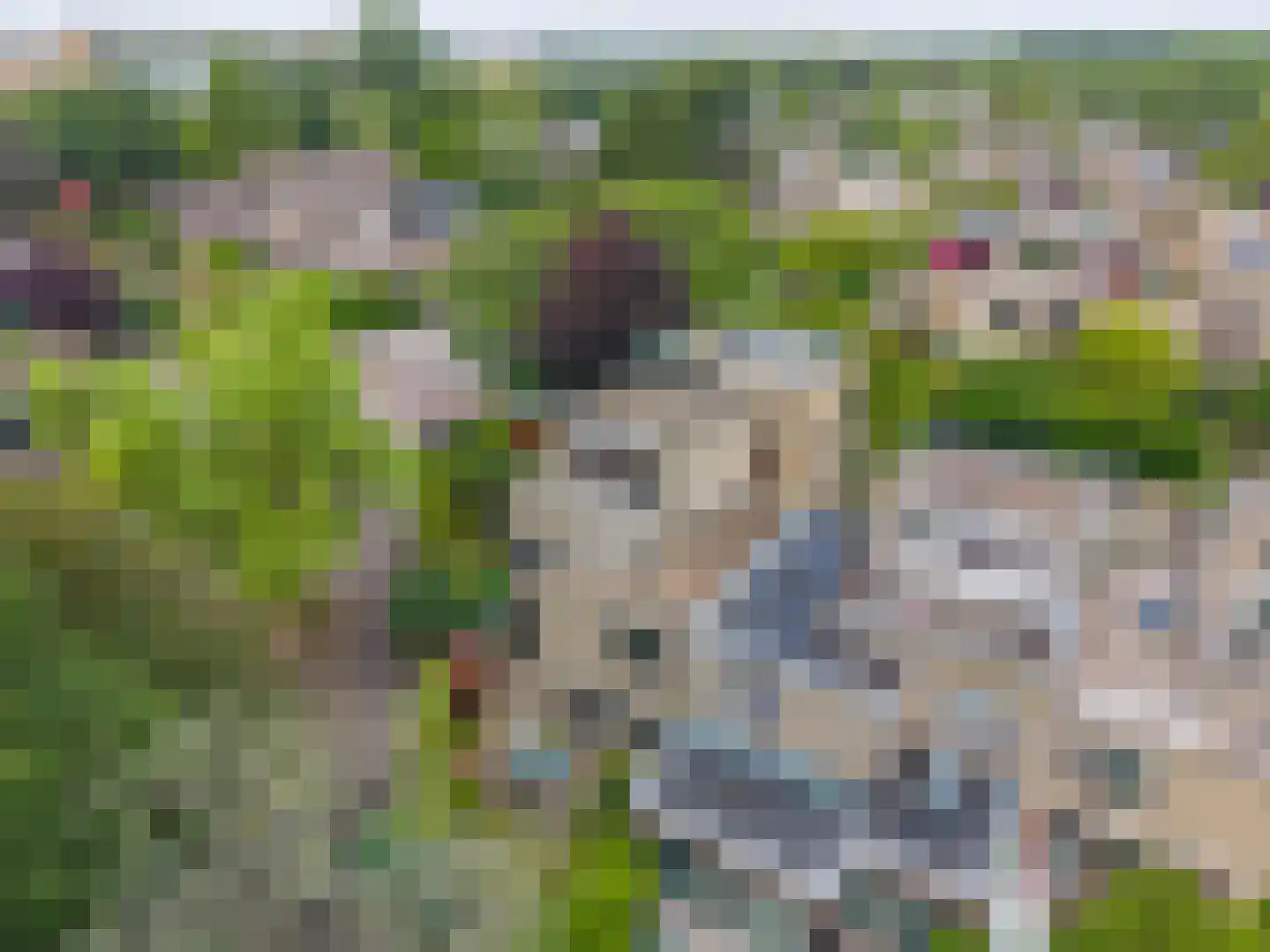 Kruisbes 3 Leiden thumbnail 42