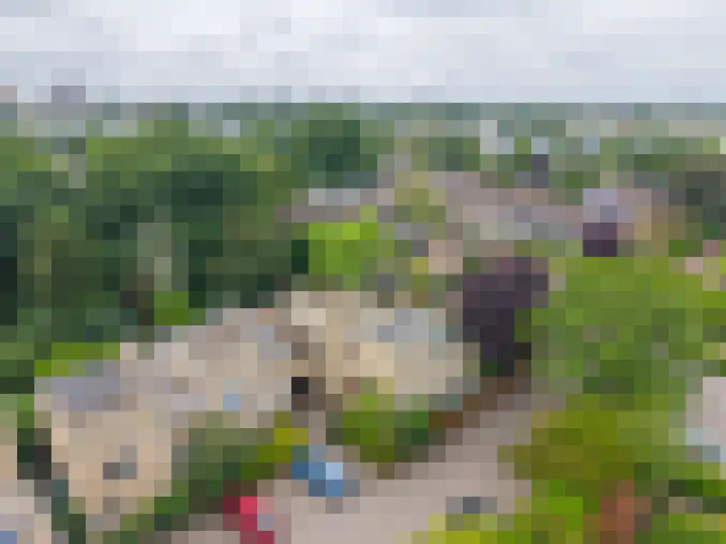 Kruisbes 3 Leiden thumbnail 43