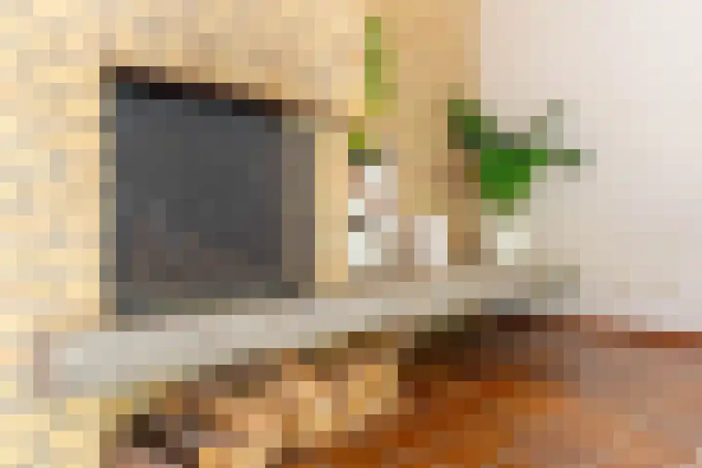 Kruisbes 3 Leiden thumbnail 6